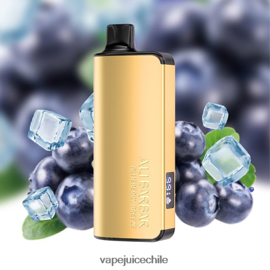 Alibarbar Ingot 20000 vaporizadores desechables brisa de arándanos V0F08032 Vape Fume