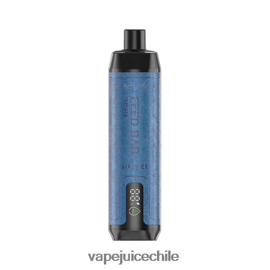 Vapsolo SHISHA vaporizador desechable hielo de baya V0F080113 Vape Recargable