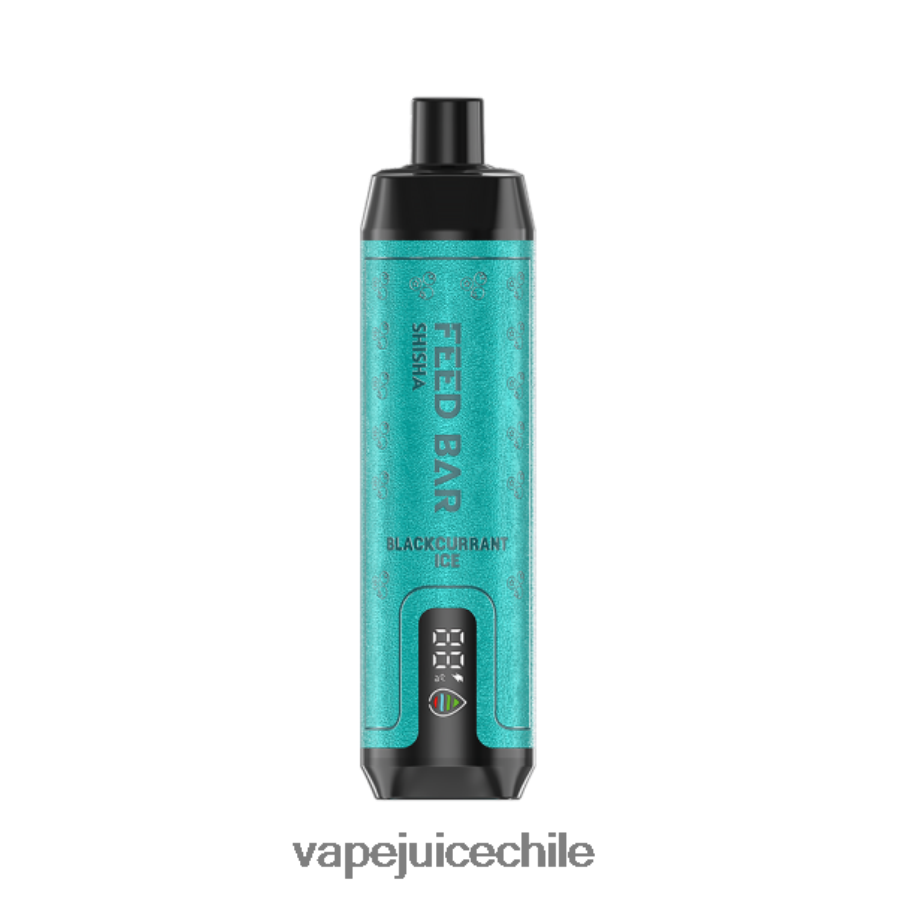 Vapsolo SHISHA vaporizador desechable hielo de grosella negra V0F080114 Vape Desechable