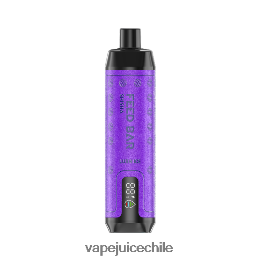 Vapsolo SHISHA vaporizador desechable hielo exuberante V0F080120 Cigarro Electrónico Chile