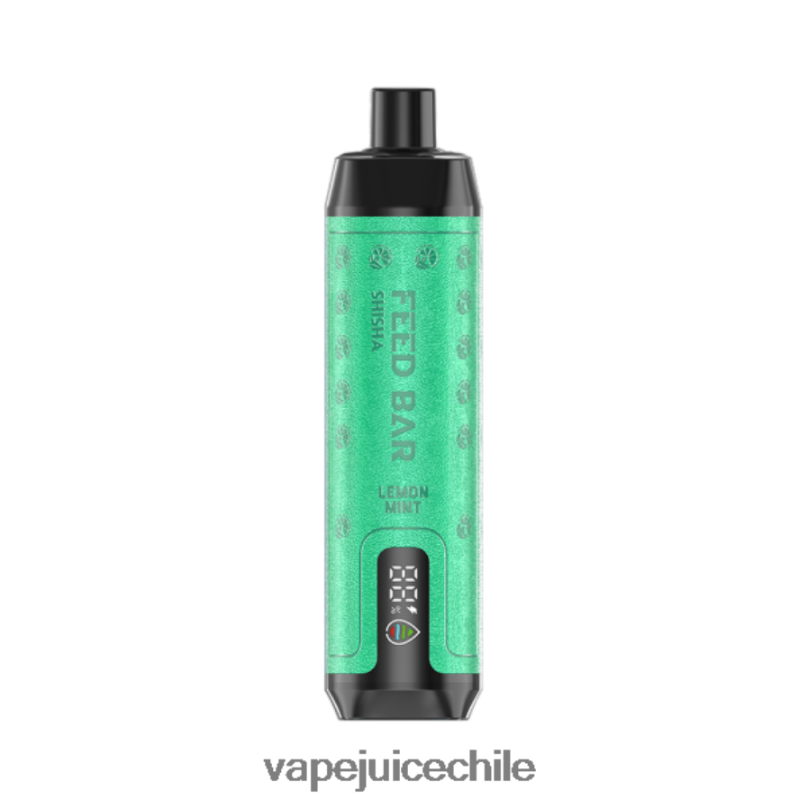 Vapsolo SHISHA vaporizador desechable menta limon V0F080119 Vape Desechable