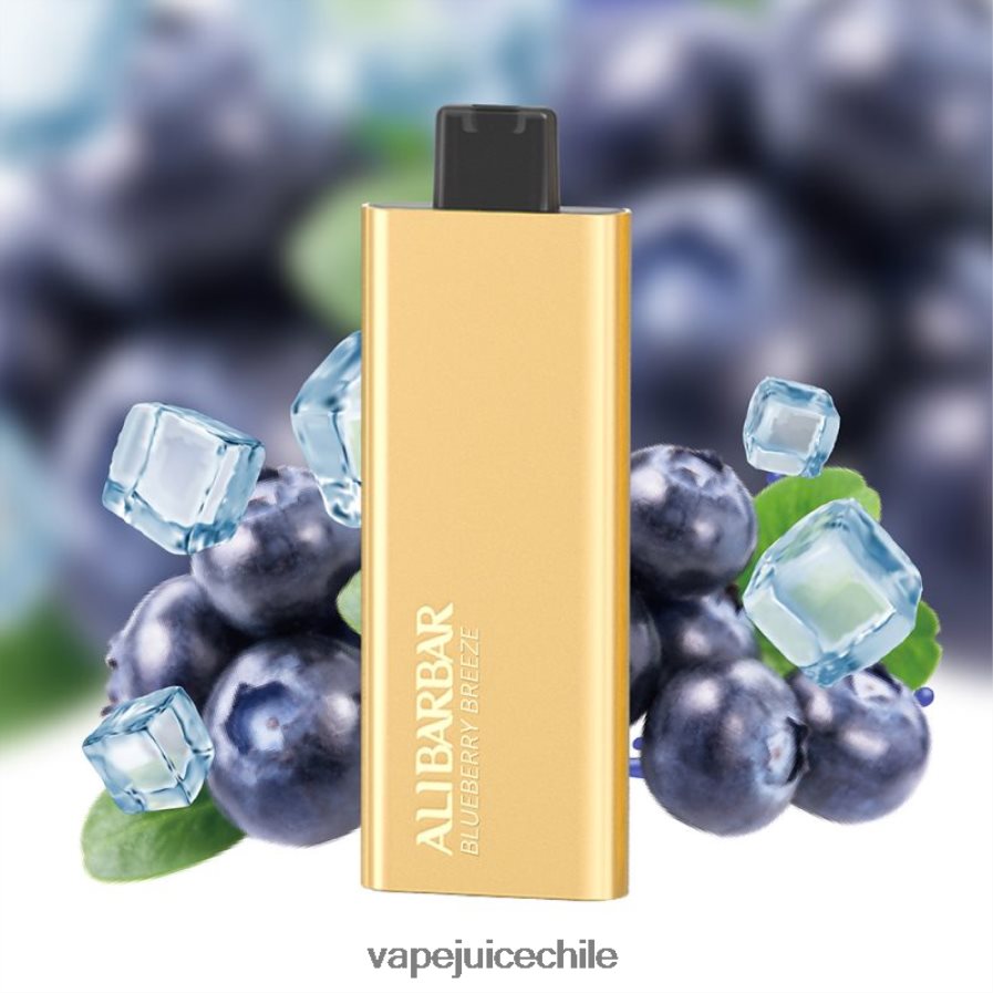 Alibarbar Pandora 7000 vaporizadores desechables brisa de arándanos V0F08051 Vape Chile