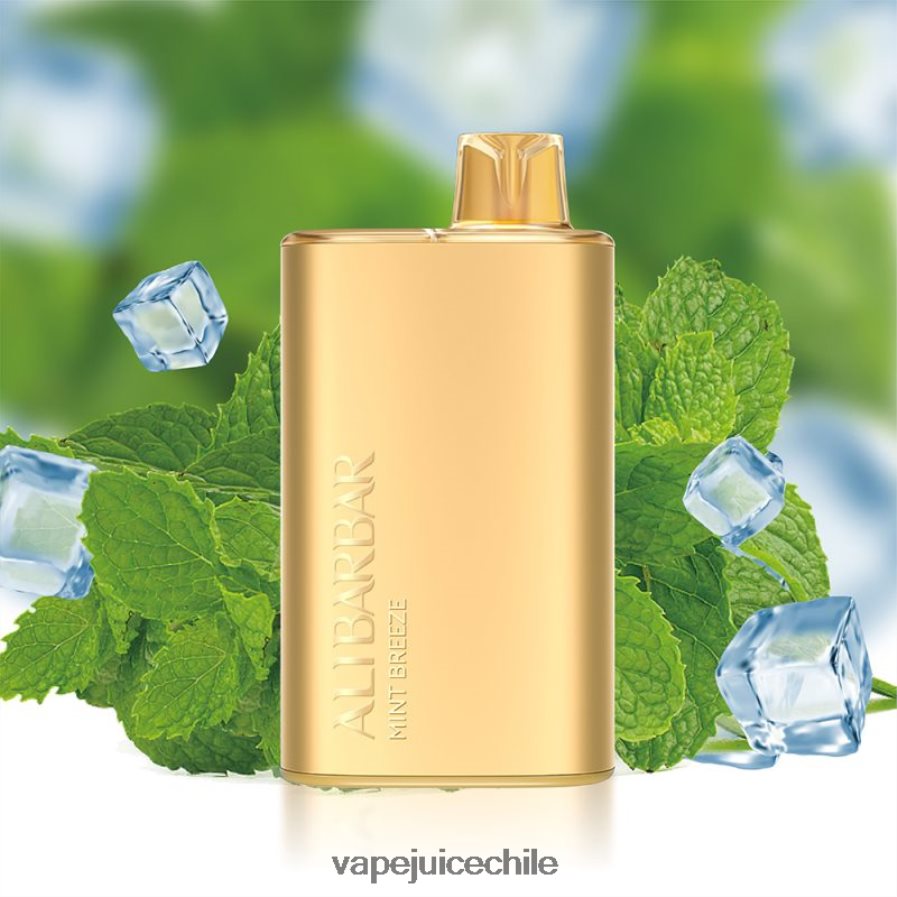 Alibarbar Rich 8000 vaporizadores desechables brisa de menta V0F0808 Vape Recargable